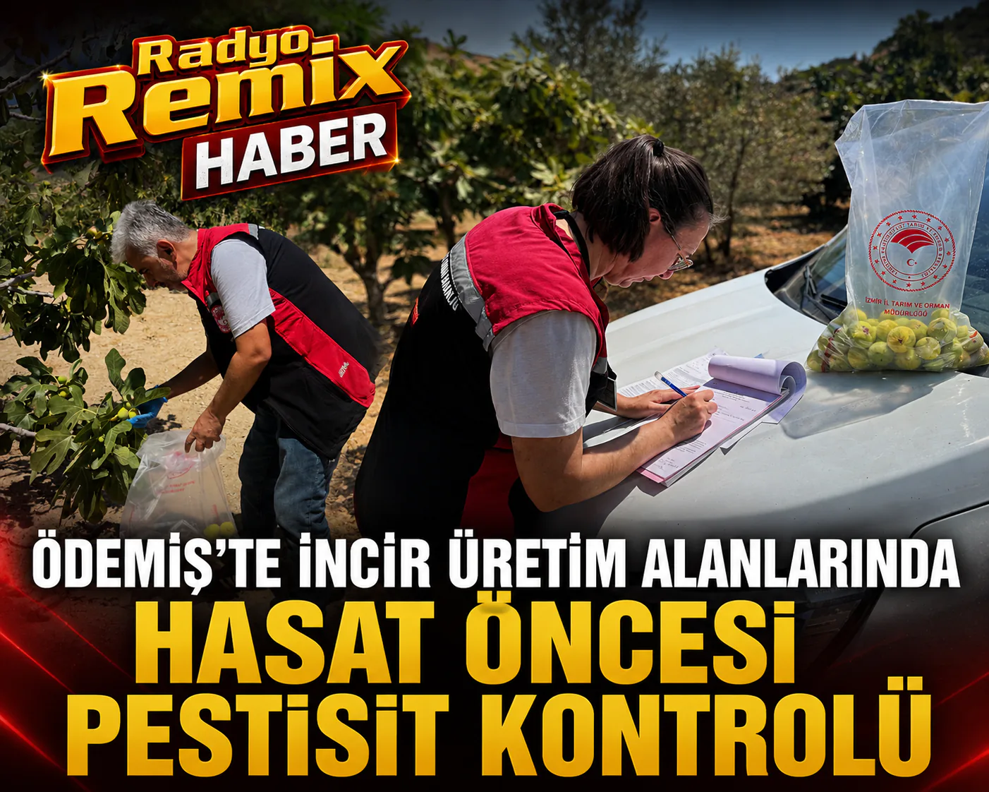 ÖDEMİŞ’TE İNCİR ÜRETİM ALANLARINDA HASAT ÖNCESİ PESTİSİT KONTROLÜ