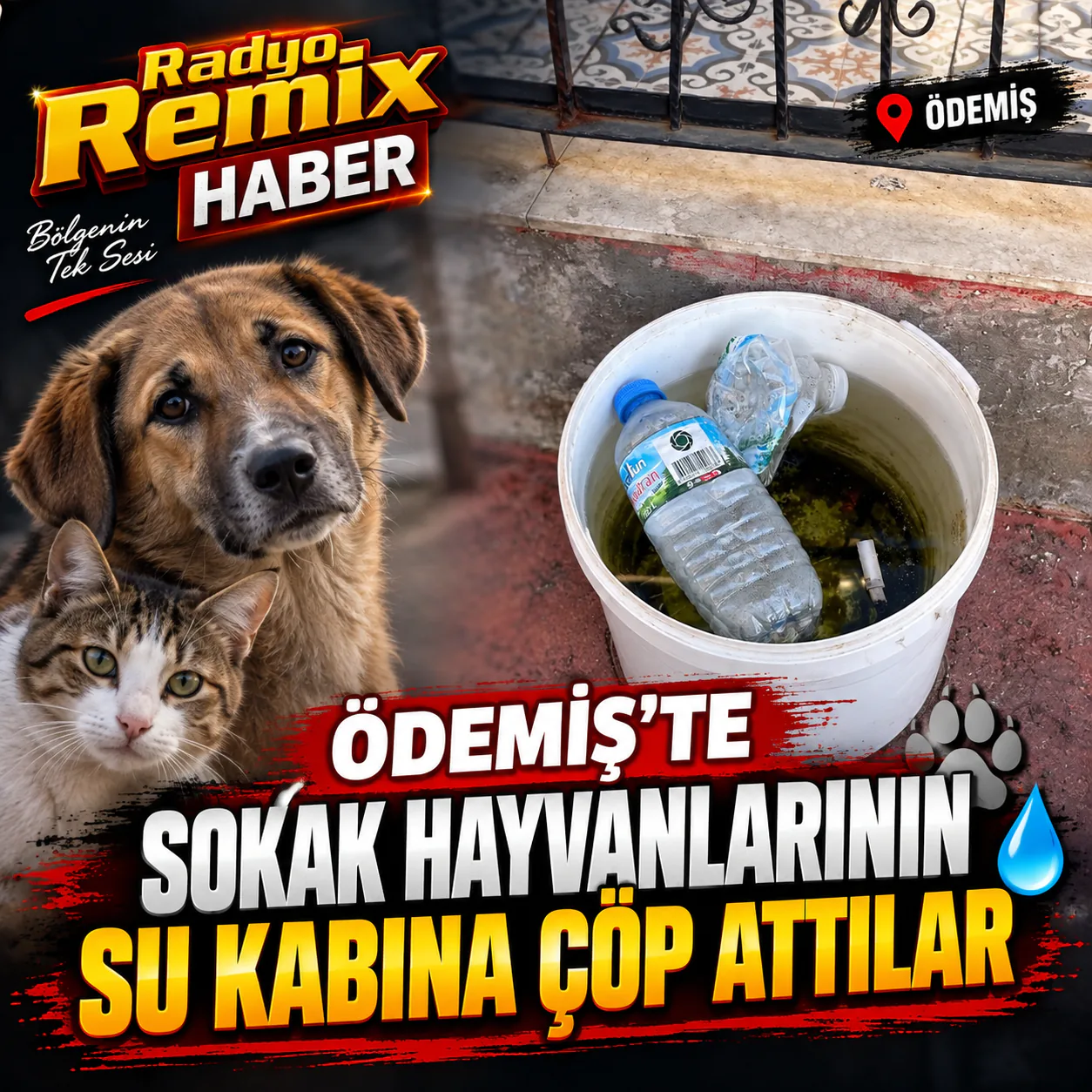 Ödemiş'te Sokak Hayvanlarının Su Kabına Çöp Attılar