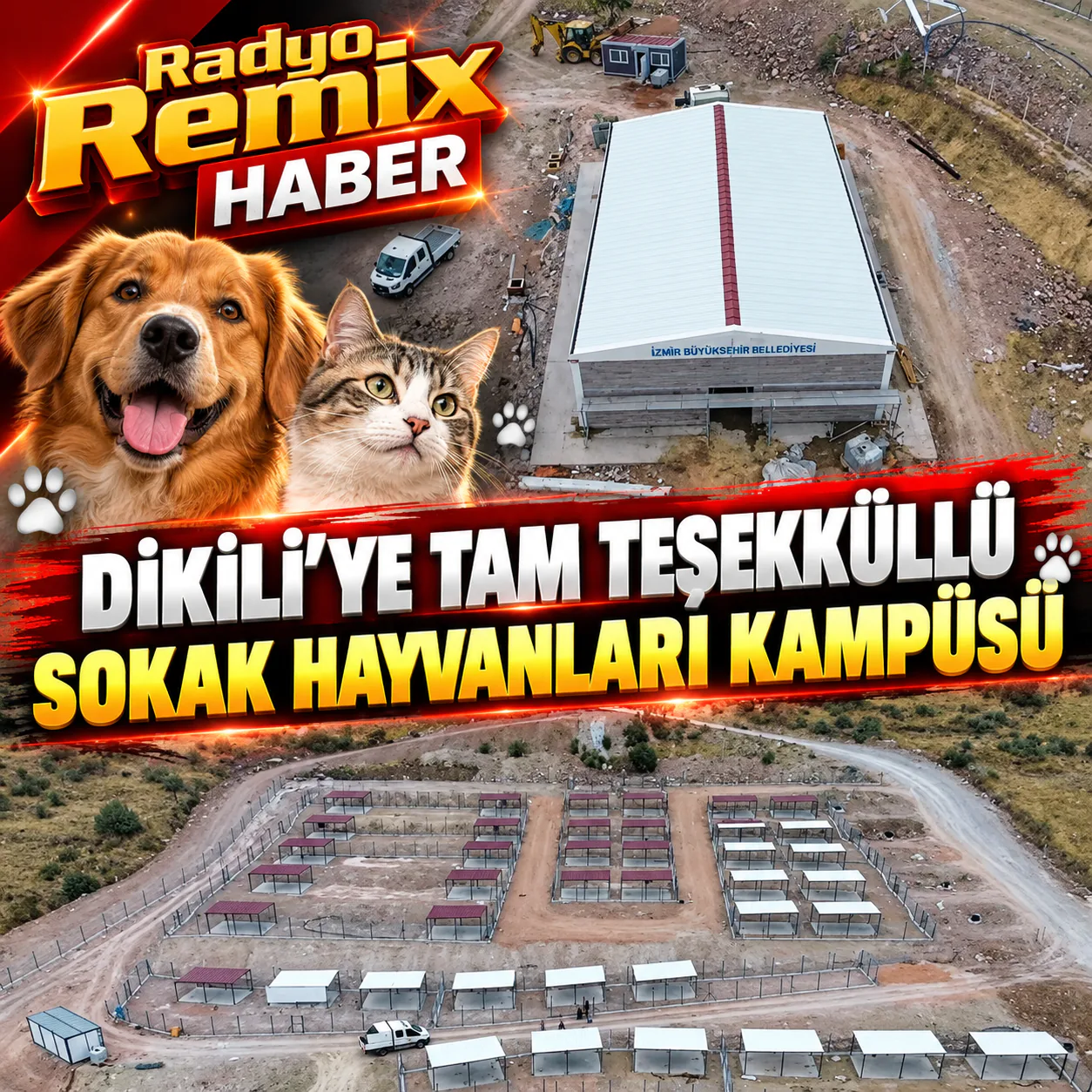 Dikili’ye Tam Teşekküllü Sokak Hayvanları Kampüsü Geliyor